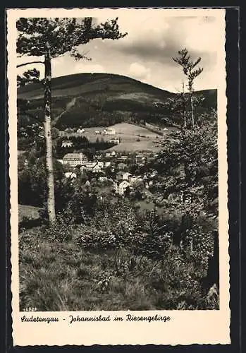 AK Johannisbad, Ortsansicht aus der Vogelschau
