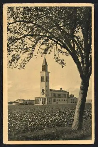 AK Olomouc, Hejcinsky kostel