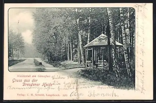 AK Langebrück, Waldesruh am Gänsefuss in der Dresdener Heide