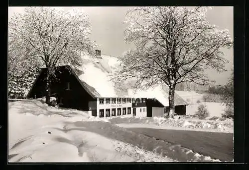 AK Titisee-Neustadt OT Schwärzenbach, Gasthaus Ahorn Hubert Knöpfle im Schnee