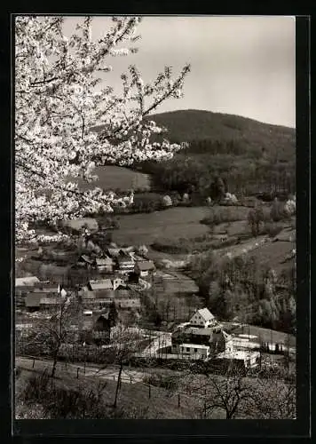 AK Winkel /Odenwald, Ortspartie bei Baumblüte