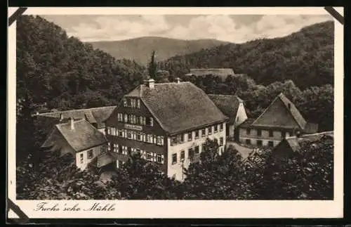 AK Weinheim a. d. B., Gasthaus Fuchssche Mühle aus der Vogelschau