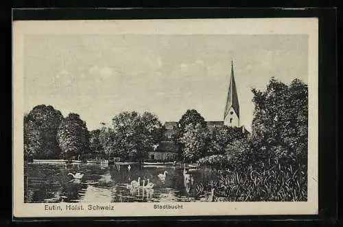 AK Eutin /Holst. Schweiz, Stadtbucht mit Blick auf die Kirche