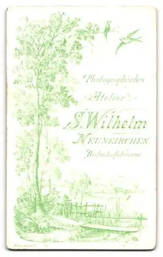 Fotografie S. Wilhelm, Neunkirchen, Bahnhofstr., fliegende Schwalben über einer Naturlandschaft