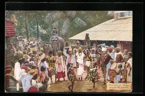 AK Sri-Lanka-Ceylon, Natives at Play, Reklame für Lipton Tee, Elefant, Tänzer