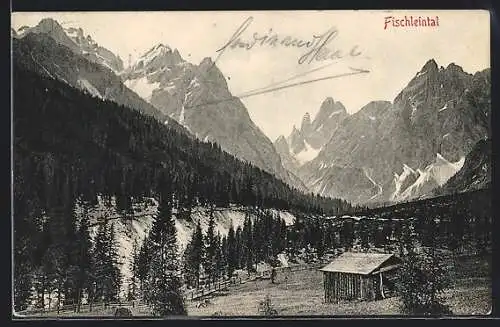 AK Sexten, Fischleintal, Hütte im Tal und Gebirgspanorama