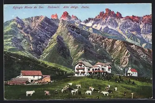 AK Rifugio Monte da Susi, Kühe auf der Weide