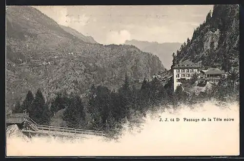 AK Trient, Passage de la Tête noire, Panorama mit Hotel