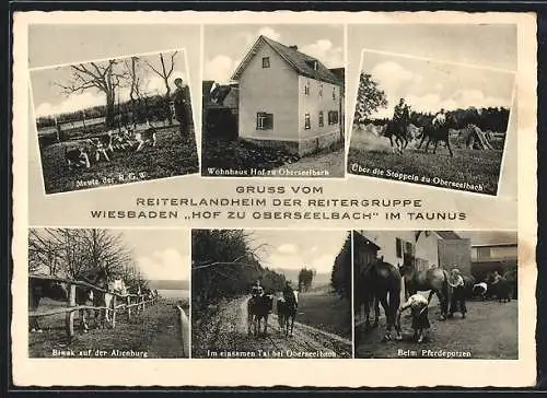 AK Wiesbaden / Taunus, Wohnhaus Hof zu Oberseelbach, Beim Pferdeputzen