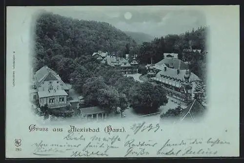 Mondschein-AK Alexisbad /Harz, Ortspartie