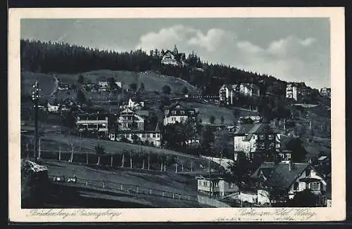 AK Brückenberg, Partie am Hotel Wang