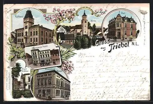 Lithographie Triebel /N. L., Angermanns Hotel, Warenhaus Pannach, Post