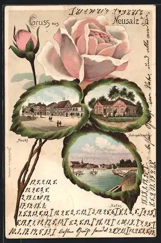 Lithographie Neusalz, Gasthaus Hafenschlösschen, Marrkt, Hafen, Ansichten auf Rosenblättern