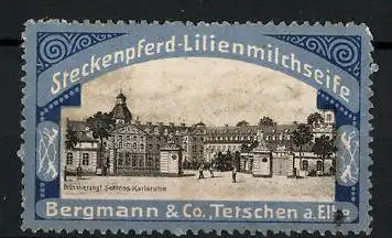 Reklamemarke Karlsruhe, Grossherzogliches Schloss, Steckenpferd-Lilienmilchseife, Bergmann & Co., Tetschen a. Elbe
