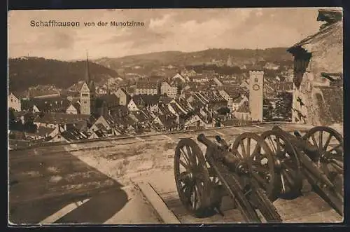 AK Schaffhausen, Teilansicht von der Munotzinne, mit Kanonen