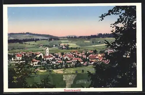 AK Sumiswald, Panoramablick vom Berg
