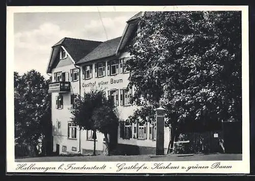 AK Hallwangen b. Freudenstadt, Gasthof und Kurhaus zum grünen Baum