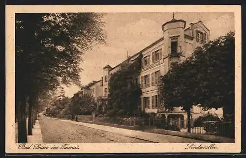 AK Bad Soden a. Taunus, Lindenallee mit Haus Stolzenfels