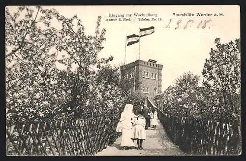 AK Werder / Havel, Eingang zum Gasthaus Wachtelburg, Baumblüte