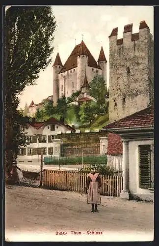 AK Thun, Schloss, Strassenansicht