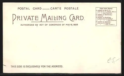 Künstler-AK Henri Cassiers: Passagierdampfer der Red Star Line, Segelboot, Fischer