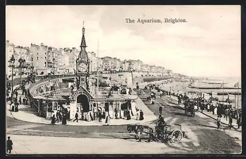 AK Brighton, The Aquarium