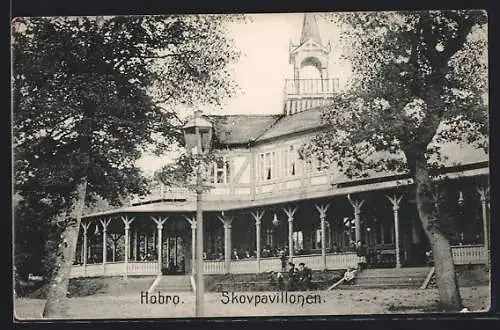AK Hobro, Skovpavillonen