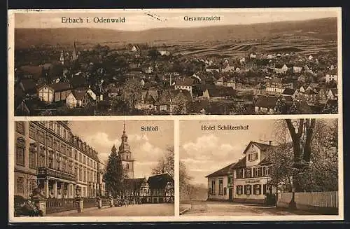 AK Erbach i. Odenwald, Gesamtansicht, Schloss & Hotel Schützenhof