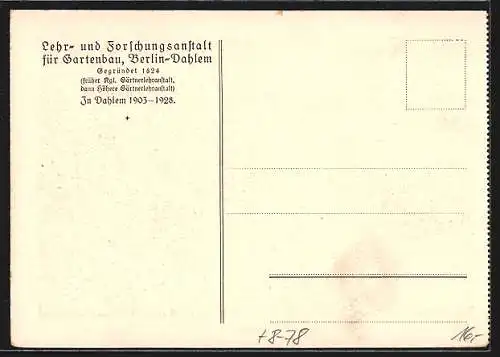 AK Berlin-Dahlem, Lehr- und Forschungsanstalt für Gartenbau, Frühkartoffelauslese, Ernte 1927