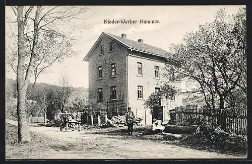 AK Waldeck / Hessen, Gasthof Nieder-Werber Hammer