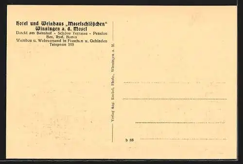 AK Winningen /Mosel, Hotel-Restaurant Moselschlösschen, Ortsansicht mit Mosel