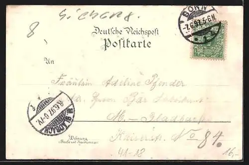 Lithographie Rheindampfer Elsa in voller Fahrt