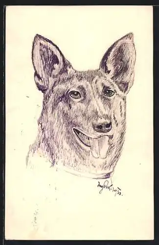 Künstler-AK Handgemalt: Schäferhund mit hängender Zunge