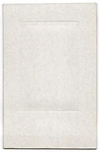 Fotografie A. Dietzgen, Plauen, Weberstr. 10, Soldat in Uniform mit Oberlippenbart