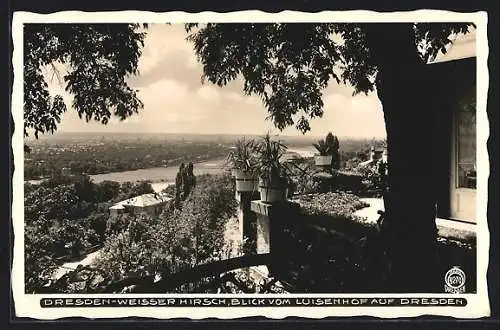 AK Dresden-Weisser Hirsch, Blick vom Luisenhof auf Dresden