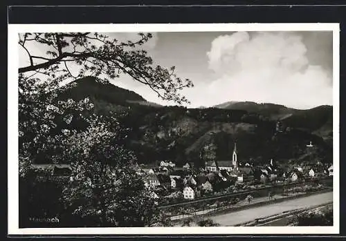 AK Hausach, Ortsansicht mit Bergen aus der Vogelschau