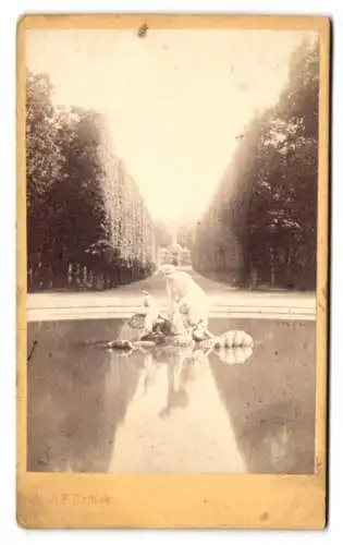 Fotografie A. F. Czihak, Wien, Graben 21, Ansicht Wien, eine Allee im Schlosspark Schönbrunn