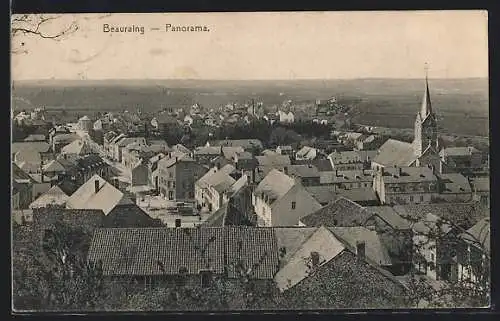 AK Beauraing, Panorama mit Kirche