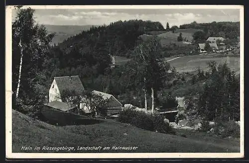 AK Hain im Riesengebirge, Landschaft am Hainwasser