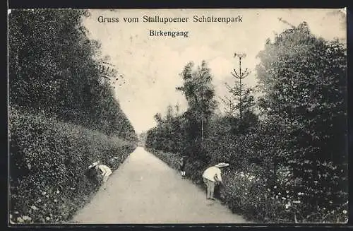 AK Stallupönen, Stallupoener Schützenpark, Birkengang
