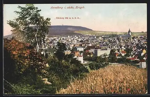 AK Annaberg / Erzgeb., Panoramablick vom Berg aus gesehen
