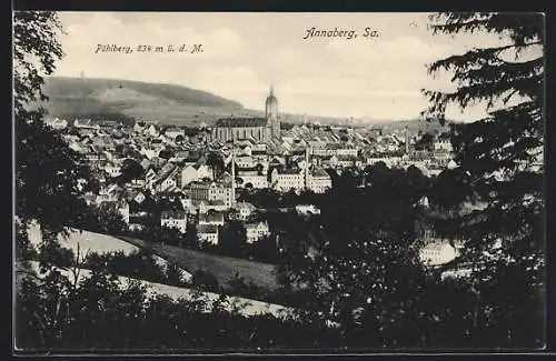 AK Annaberg i. Sa., Totale mit Pöhlberg