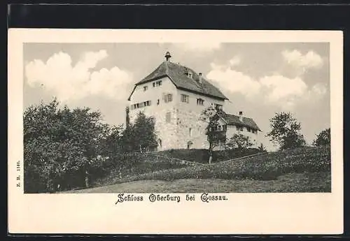 AK Gossau, Schloss Oberburg