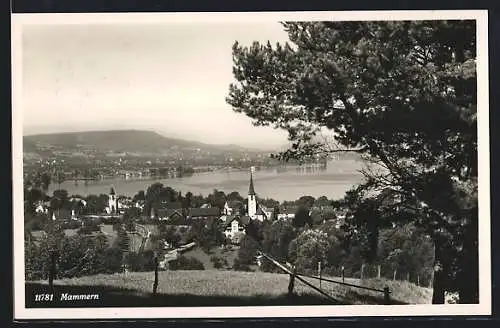 AK Mammern, Teilansicht mit Kirche und Untersee