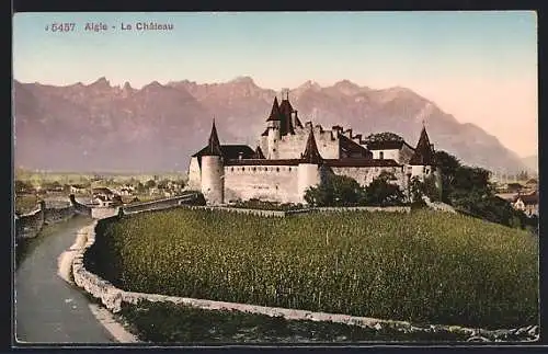 AK Aigle, Le Chaâteau