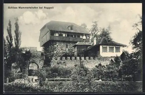 AK Roggwil, Schloss Mammertshofen