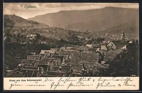 AK Oppenau, Blick über die Dächer