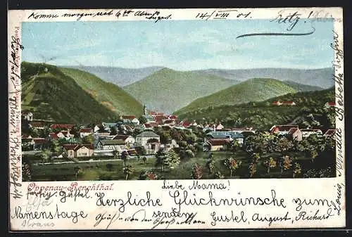 AK Oppenau-Renchthal, Teilansicht mit Bergen