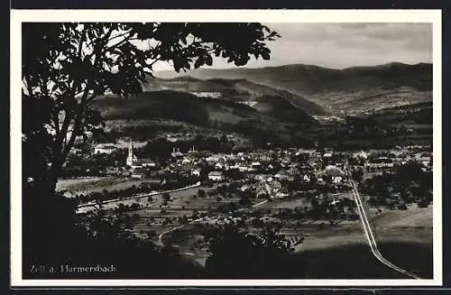 AK Zell a. Harmersbach, Teilansicht mit Kirche