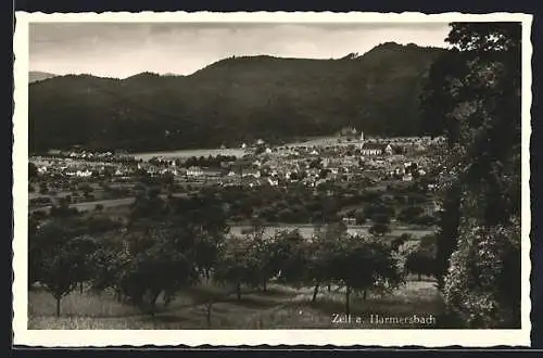 AK Zell a. Harmersbach, Teilansicht mit Kirche